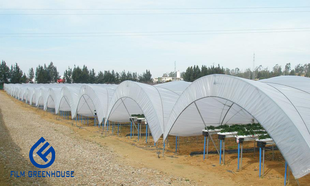 macrotunnel greenhouse