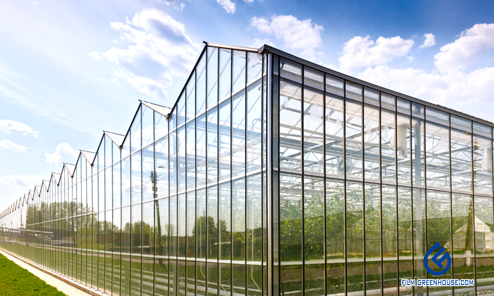 venlo greenhouse